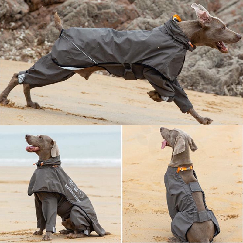Dog Raincoat - مقاوم للماء معطف واق من المطر