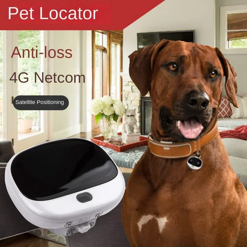 Pet Supplies Locations - جهاز تتبع GPS صغير للكلاب بتقنية