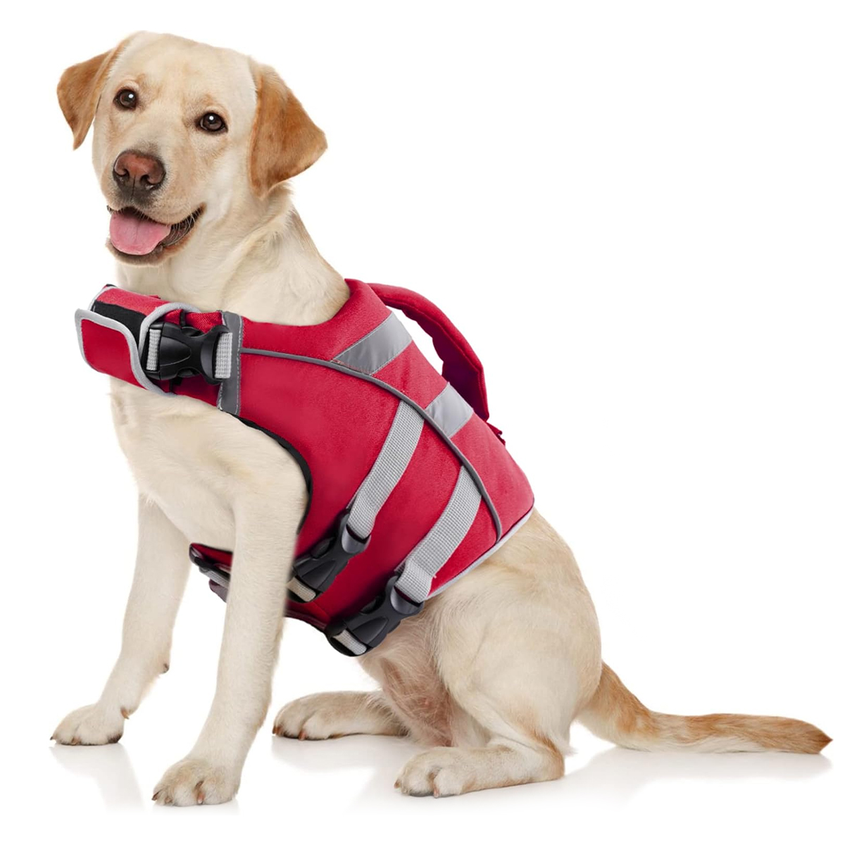 سترة النجاة الكلب للماء مع الم - مراجعة Dog Life Jacket وسعره