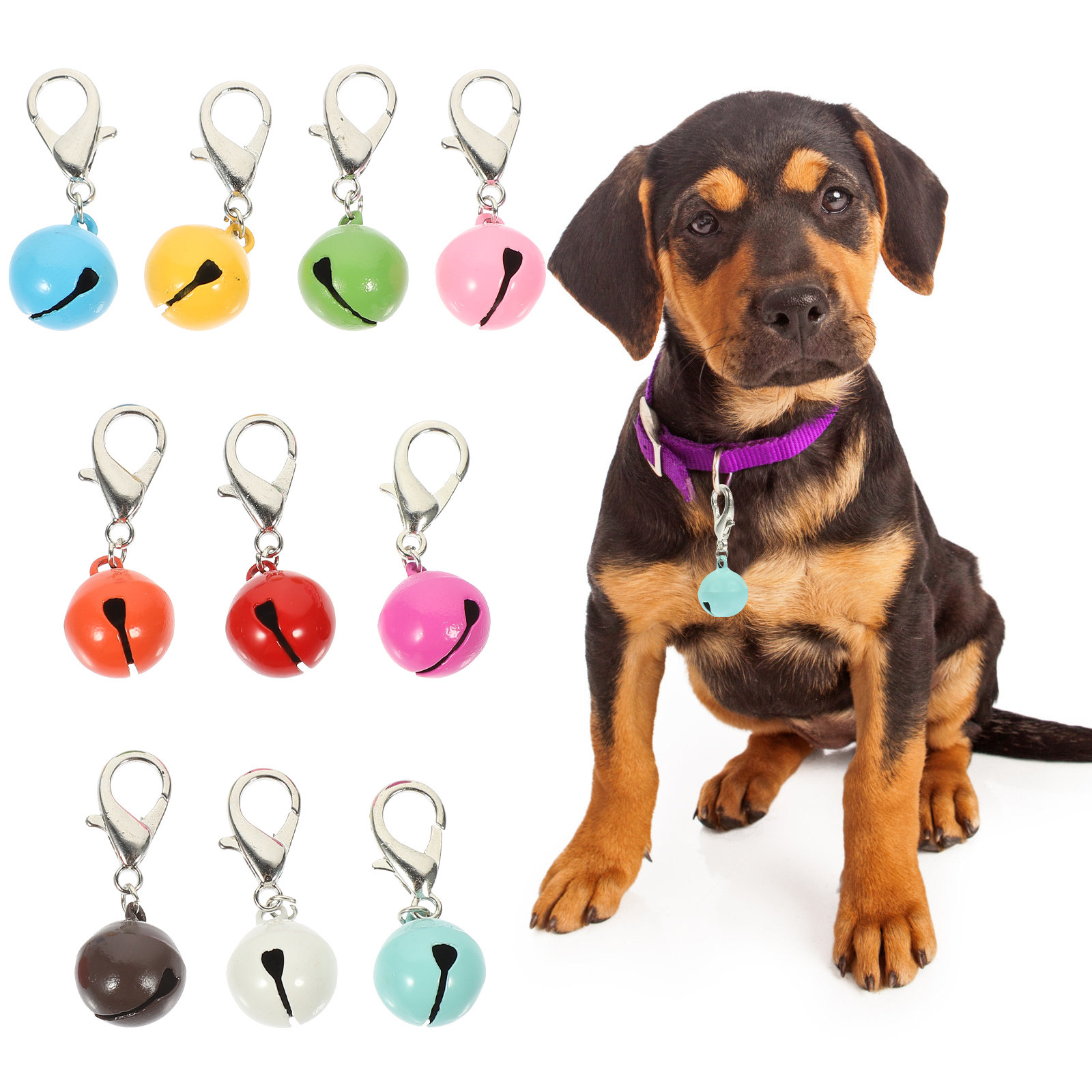 10 قطع من أجراس طوق الحيوانات  - مراجعة Pet Supplies Locations وسعره
