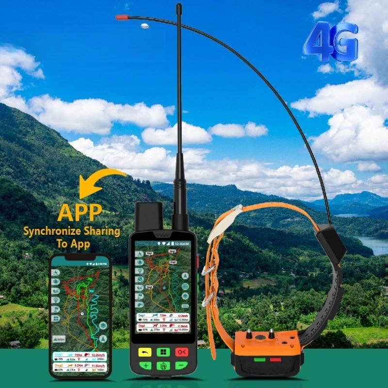 طوق كلب GPS 4G مع تتبع الراديو - مراجعة Pet Supplies Locations وسعره