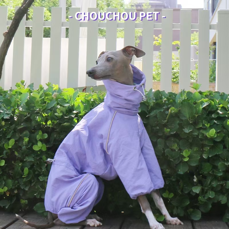 معطف واق من المطر السلوقي الإي - مراجعة Dog Raincoat وسعره