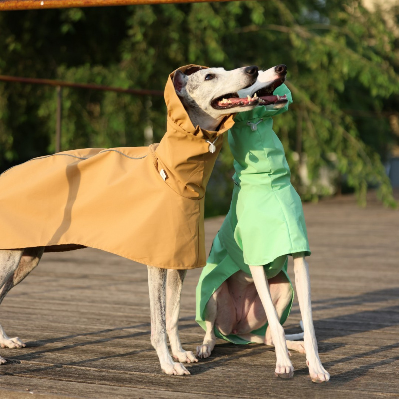 معطف مطر بلون موحد للكلاب الإي - مراجعة Dog Raincoat وسعره