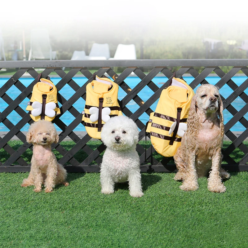 مايوه كلب نحل صغير مقاوم للماء - مراجعة Dog Life Jacket وسعره