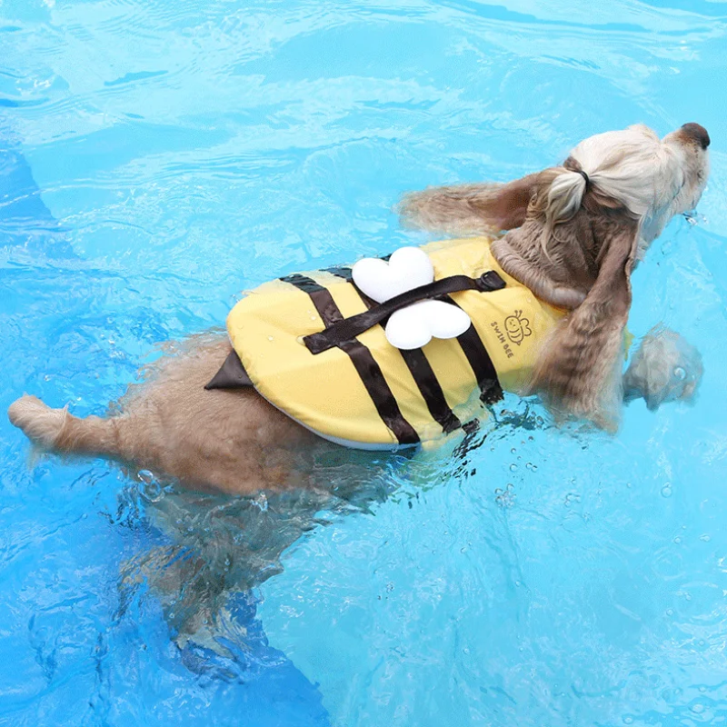 مايوه كلب نحل صغير مقاوم للماء - مراجعة Dog Life Jacket وسعره