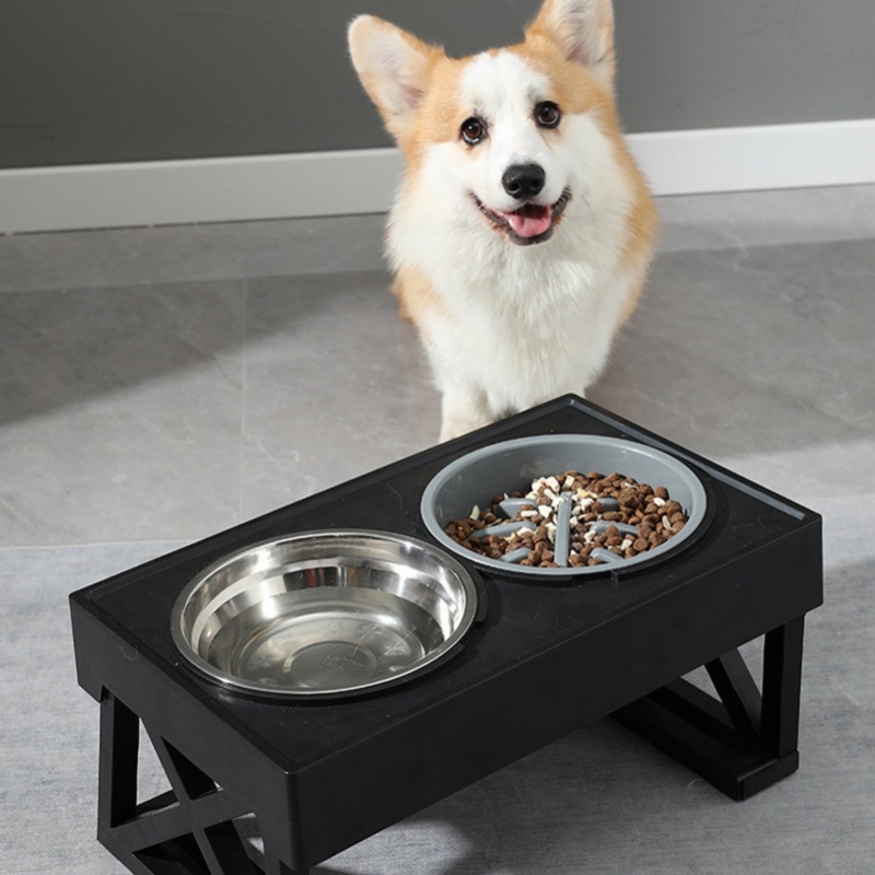 وعاء الكلب ذو التغذية البطيئة  - مراجعة Slow Feeder Dog Bowl وسعره