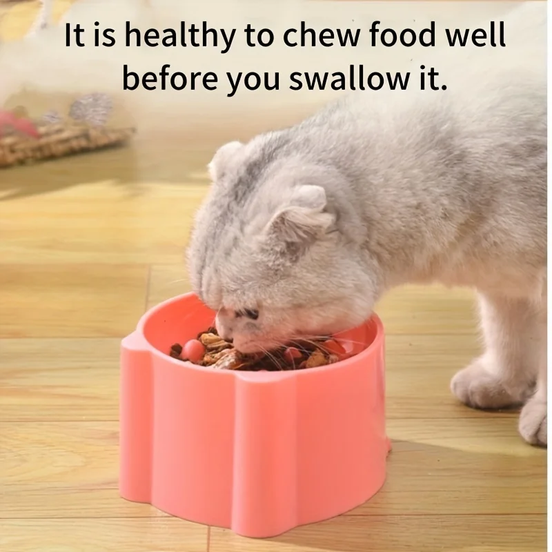 وعاء طعام القطط، وعاء الأرز، و - مراجعة Slow Feeder Dog Bowl وسعره