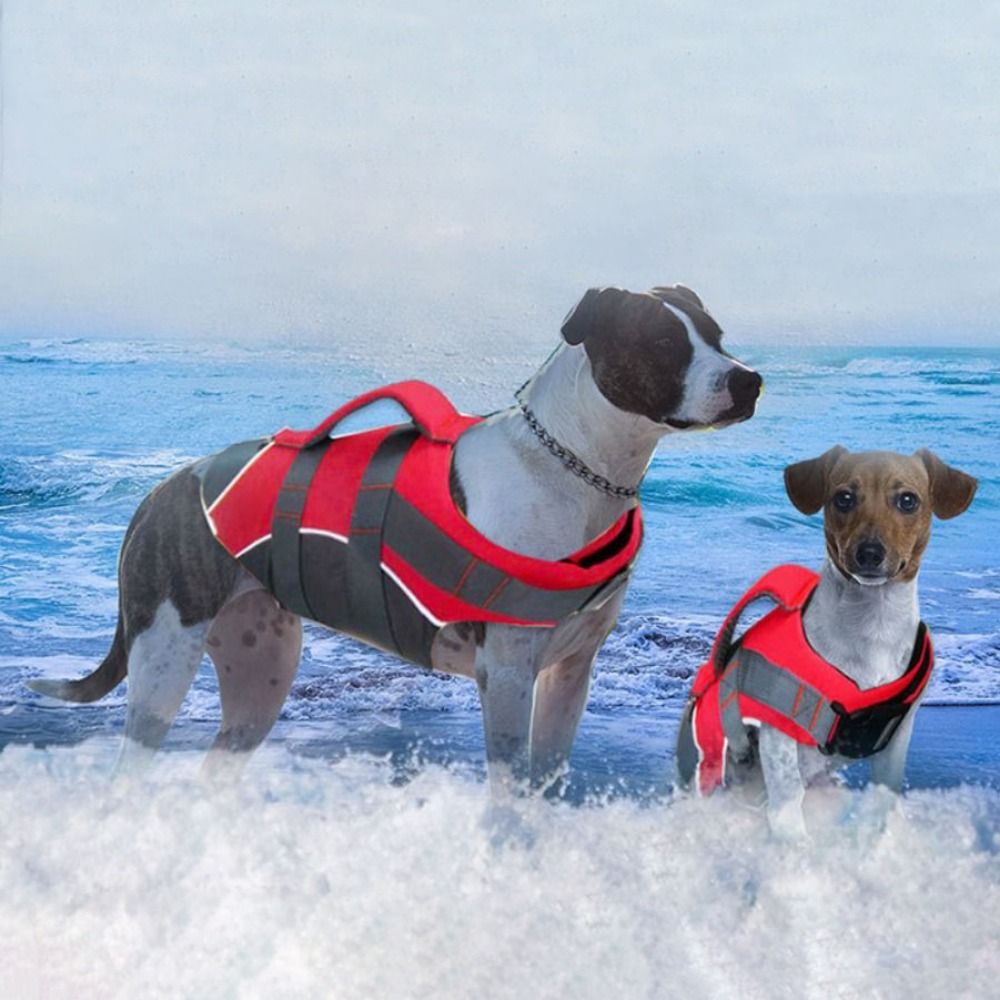 عاكس الكلب سترة نجاة تنفس قابل - مراجعة Dog Life Jacket وسعره
