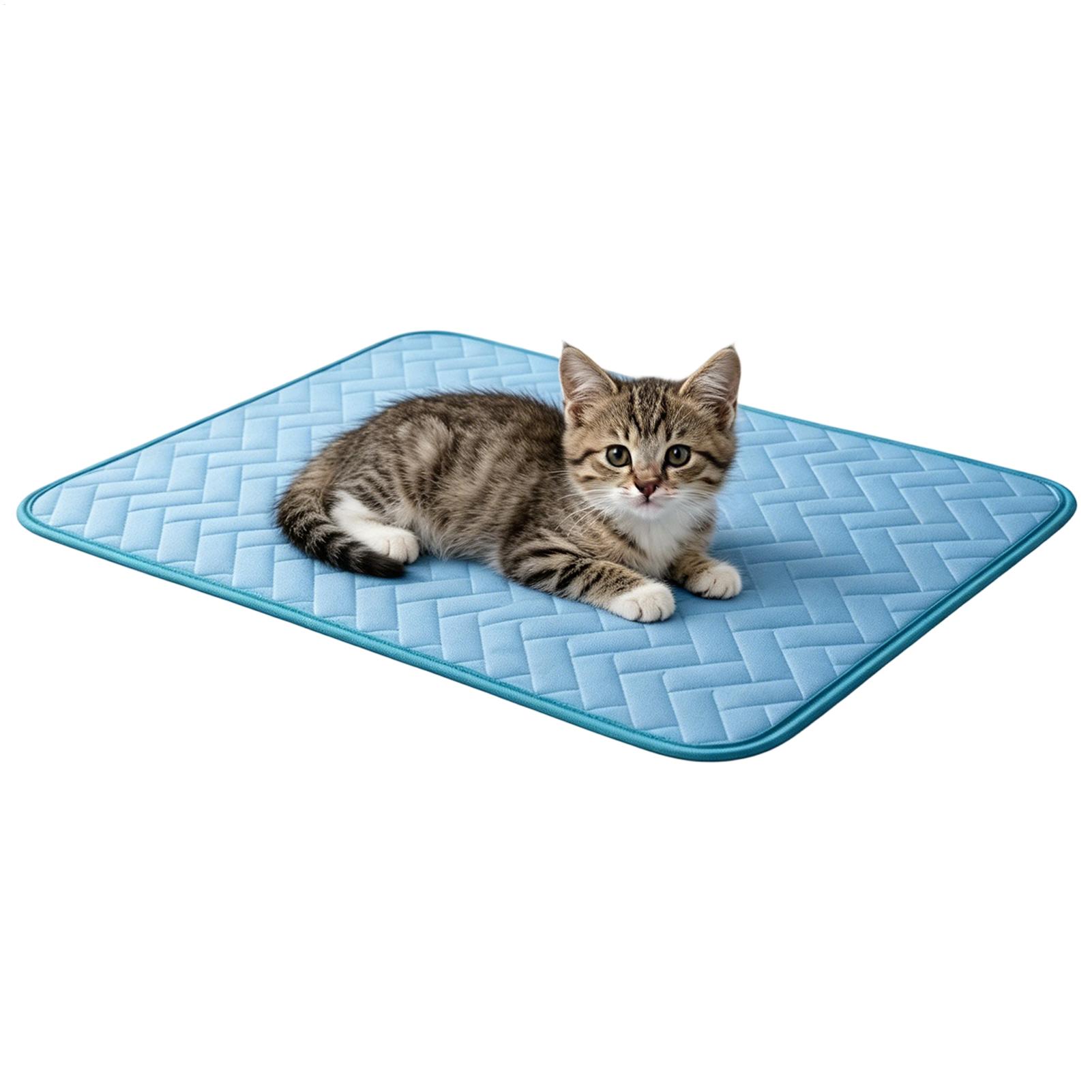 بساط تبريد للكلاب، وسادة تبريد - مراجعة Dog Cooling Mat وسعره