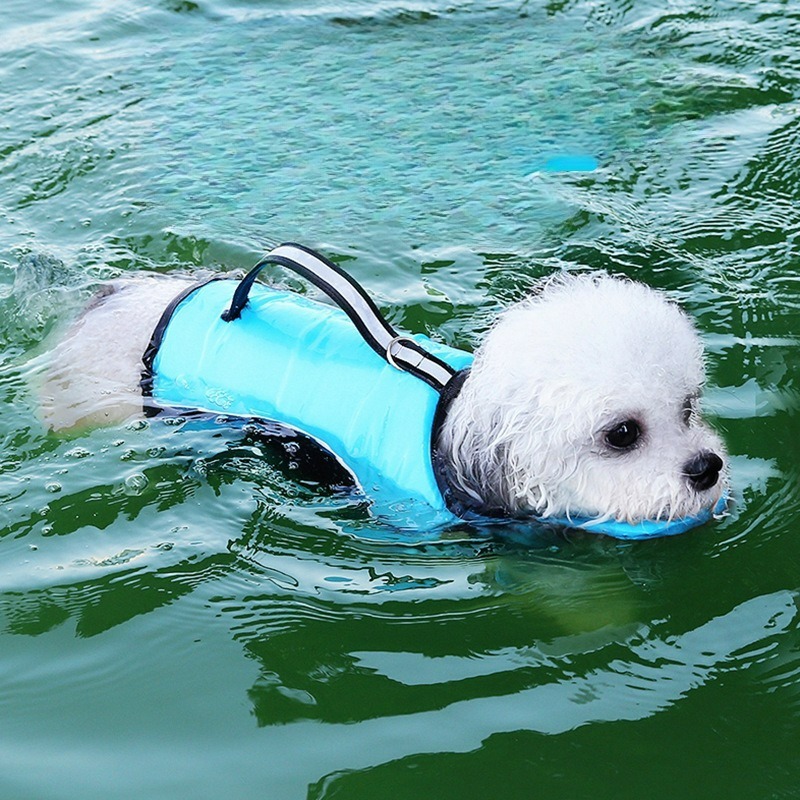 بدلة سباحة للكلاب، ملابس صيفية - مراجعة Dog Life Jacket وسعره