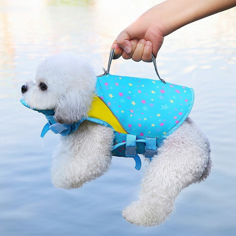 بدلة سباحة للكلاب، ملابس صيفية - مراجعة Dog Life Jacket وسعره