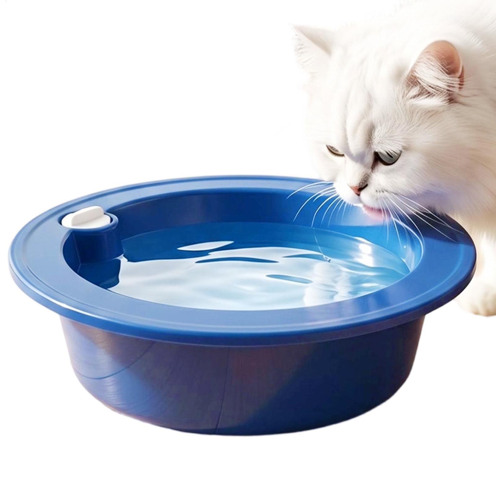 وعاء ماء محمول للحيوانات الألي - مراجعة Slow Feeder Dog Bowl وسعره