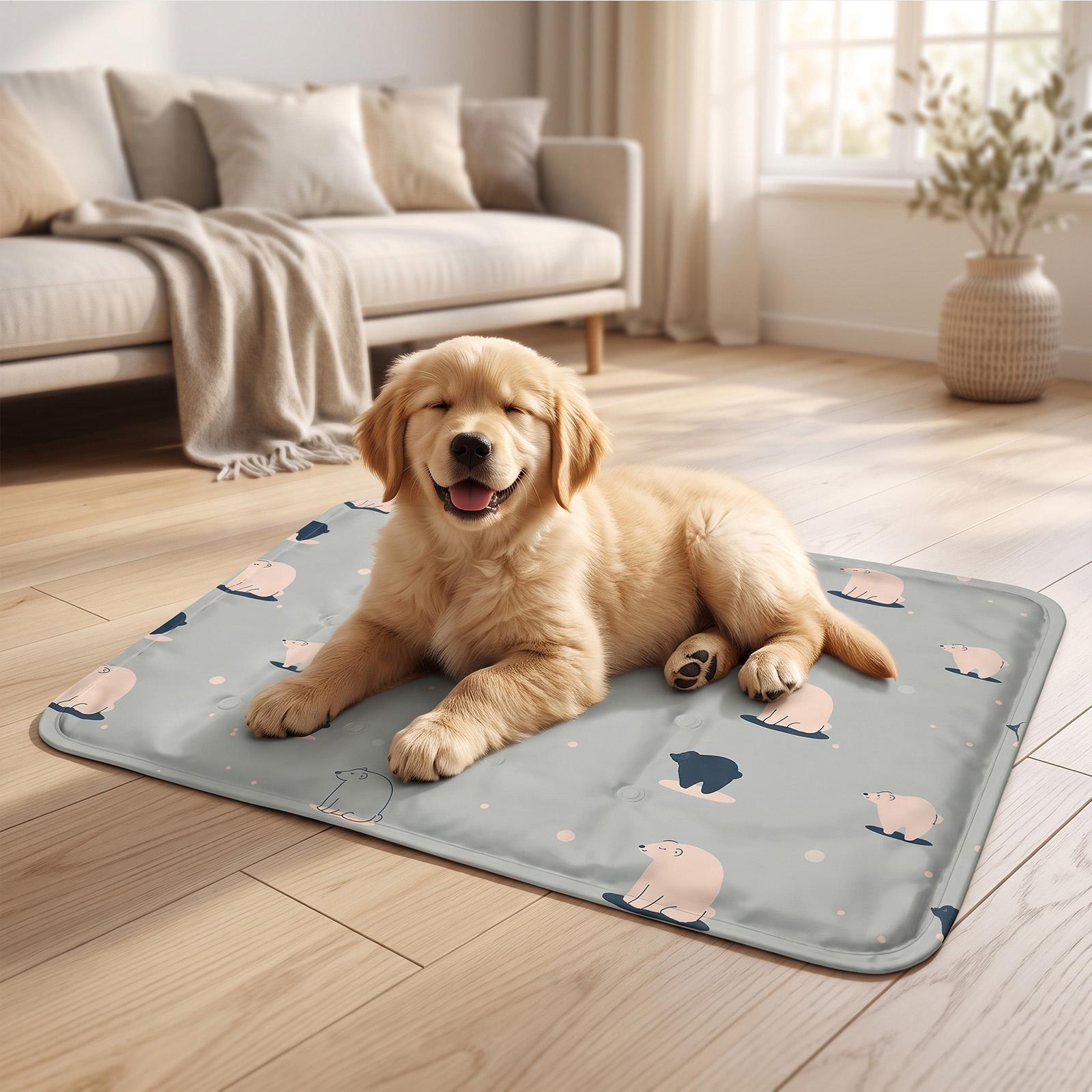 بساط تبريد للكلاب 40x30 سم، وس - مراجعة Dog Cooling Mat وسعره