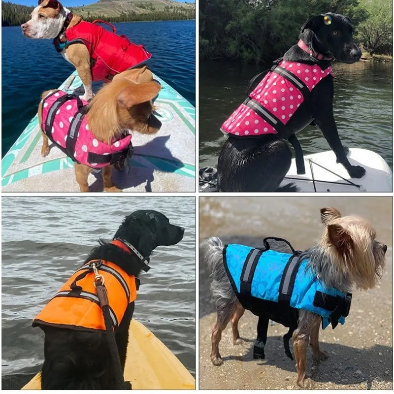 سترة سباحة للكلاب، سترة نجاة ل - مراجعة Dog Life Jacket وسعره