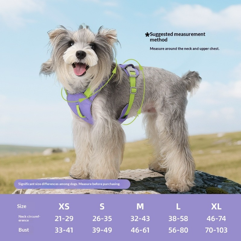حزام جديد خفيف الوزن للكلاب مت - مراجعة Pet Supplies Locations وسعره