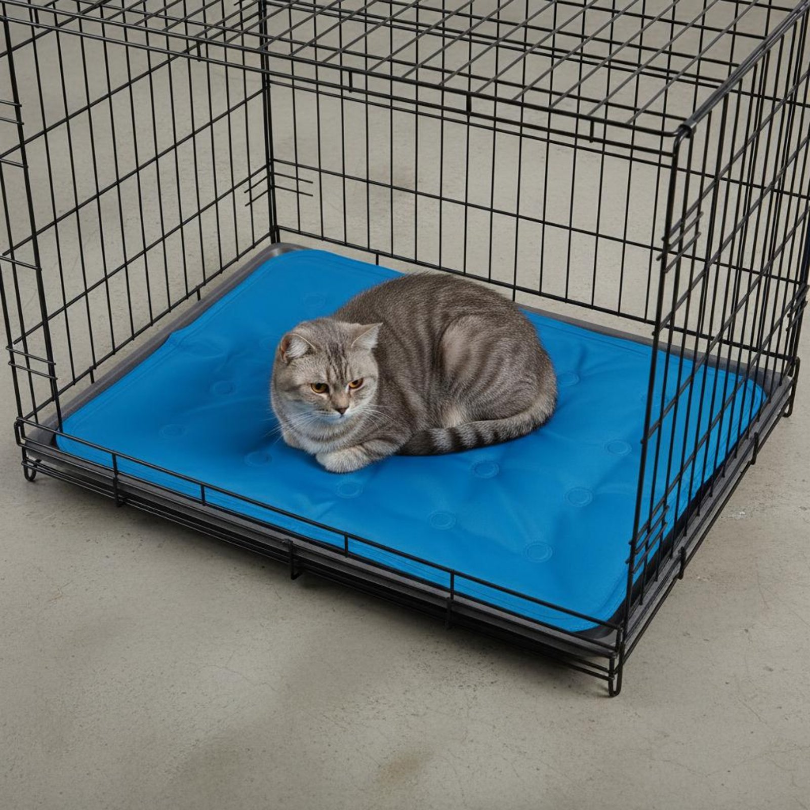 بساط تبريد للحيوانات الأليفة،  - مراجعة Dog Cooling Mat وسعره