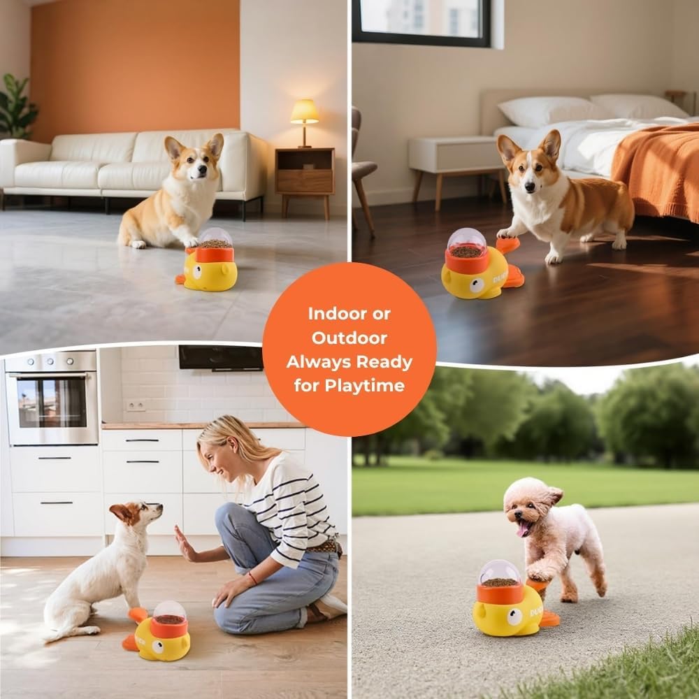 موزع وجبات خفيفة للحيوانات الأ - مراجعة Slow Feeder Dog Bowl وسعره