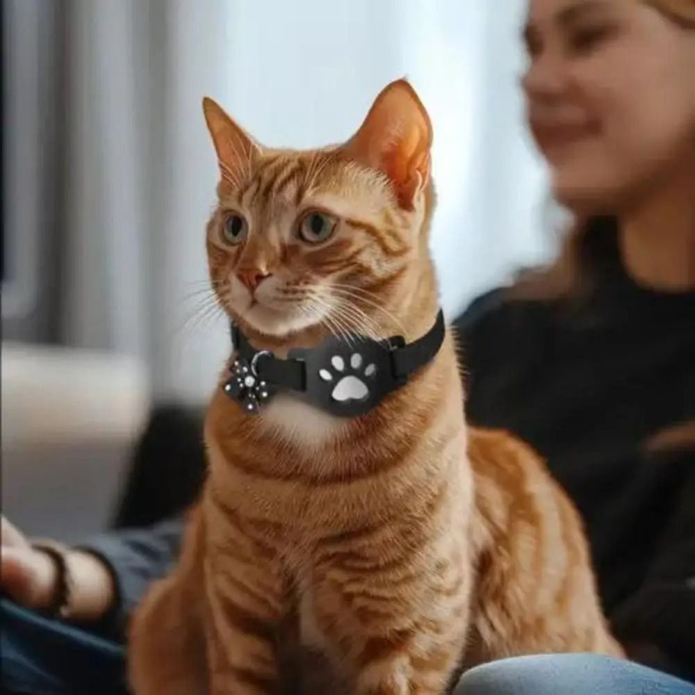 طوق عاكس جديد للحيوانات الأليف - مراجعة Pet Supplies Locations وسعره