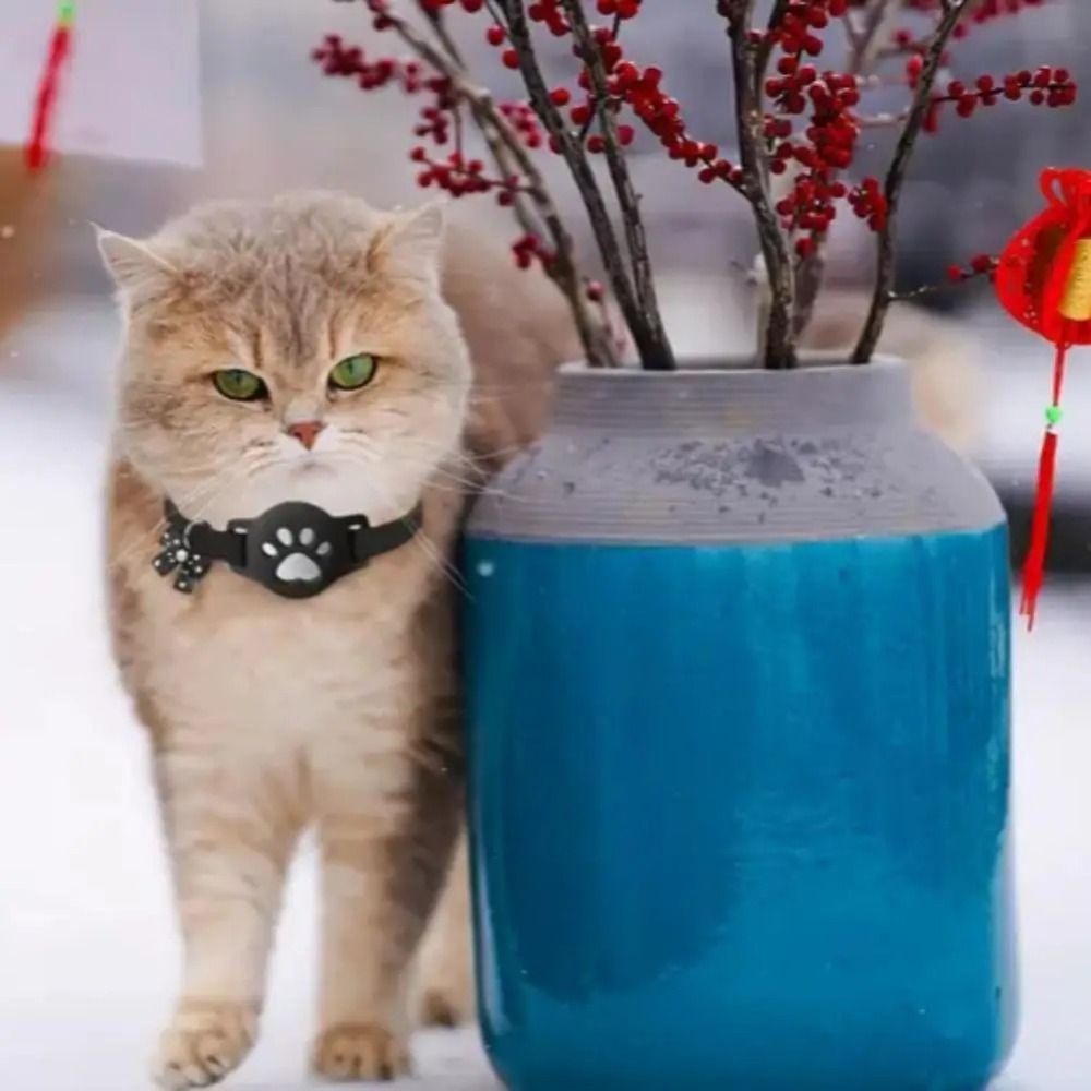 طوق عاكس جديد للحيوانات الأليف - مراجعة Pet Supplies Locations وسعره