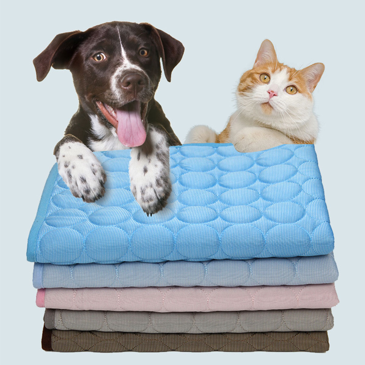 حصيرة تبريد للحيوانات الأليفة، - مراجعة Dog Cooling Mat وسعره
