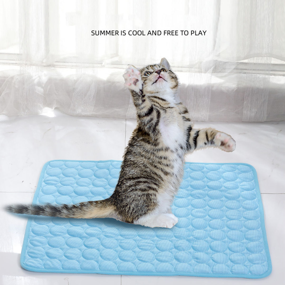 حصيرة تبريد للحيوانات الأليفة، - مراجعة Dog Cooling Mat وسعره