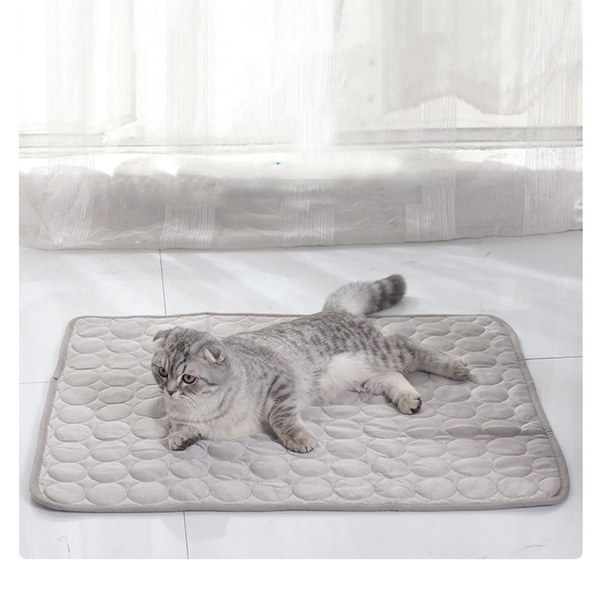 حصيرة تبريد للحيوانات الأليفة، - مراجعة Dog Cooling Mat وسعره