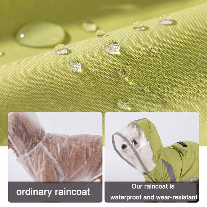 معطف واقٍ من المطر للكلاب مقاو - مراجعة Dog Raincoat وسعره