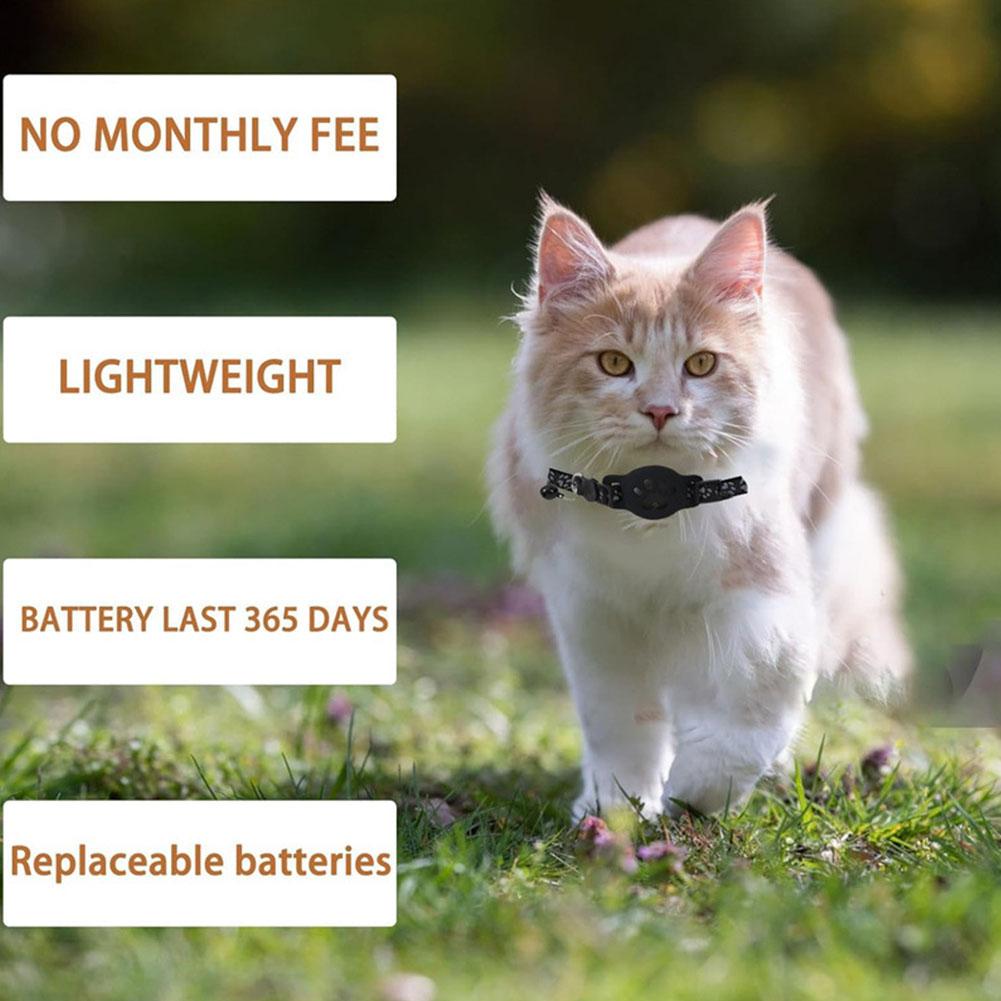 الإبداعية القط باو تصميم الحيو - مراجعة Pet Supplies Locations وسعره