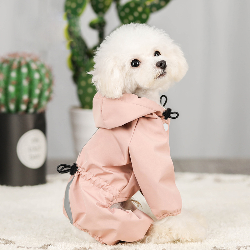 مستلزمات الحيوانات الأليفة معط - مراجعة Dog Raincoat وسعره