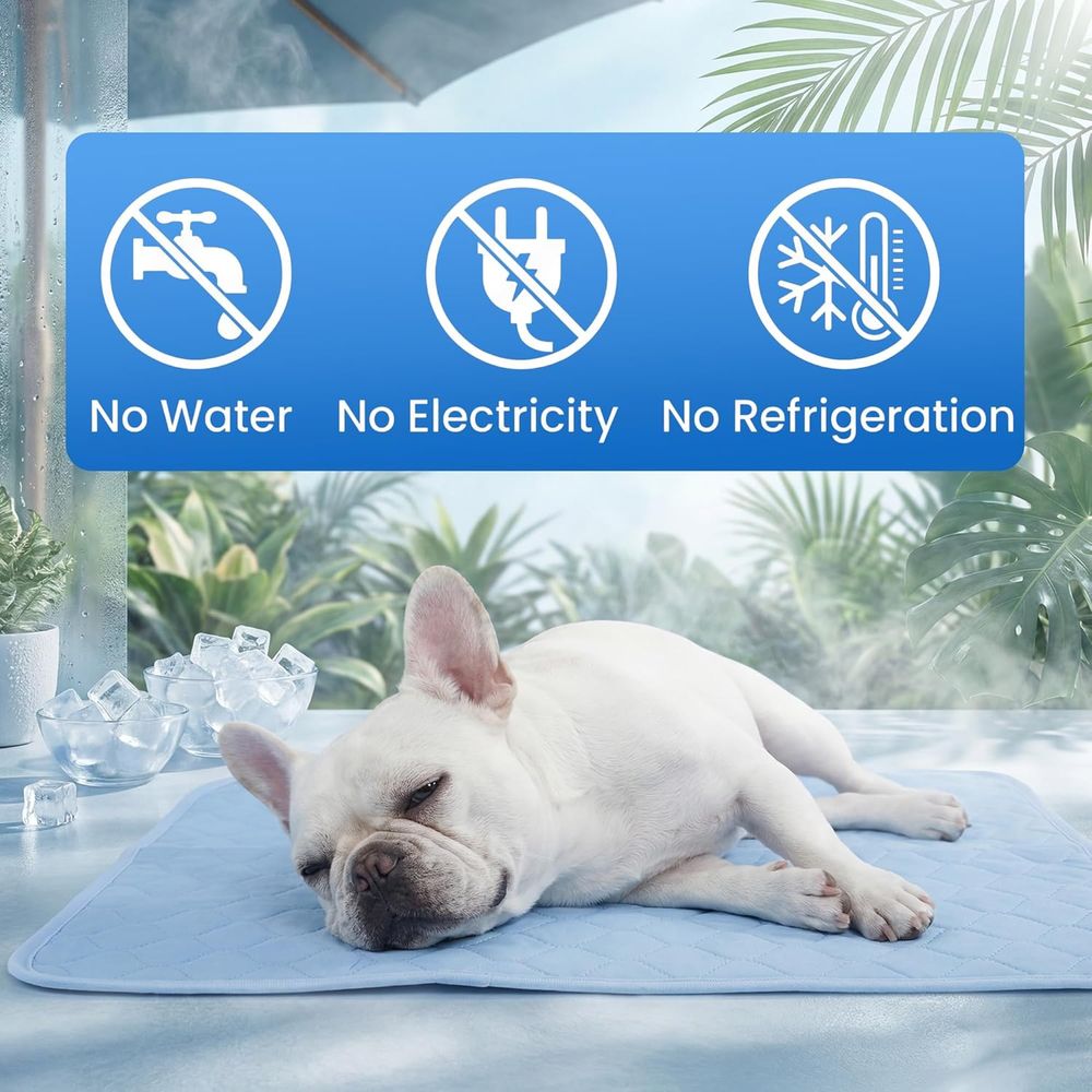 وسادة تبريد للكلاب الصغيرة وال - مراجعة Dog Cooling Mat وسعره