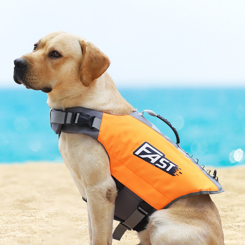 سترة نجاة للحيوانات الأليفة لل - مراجعة Dog Life Jacket وسعره