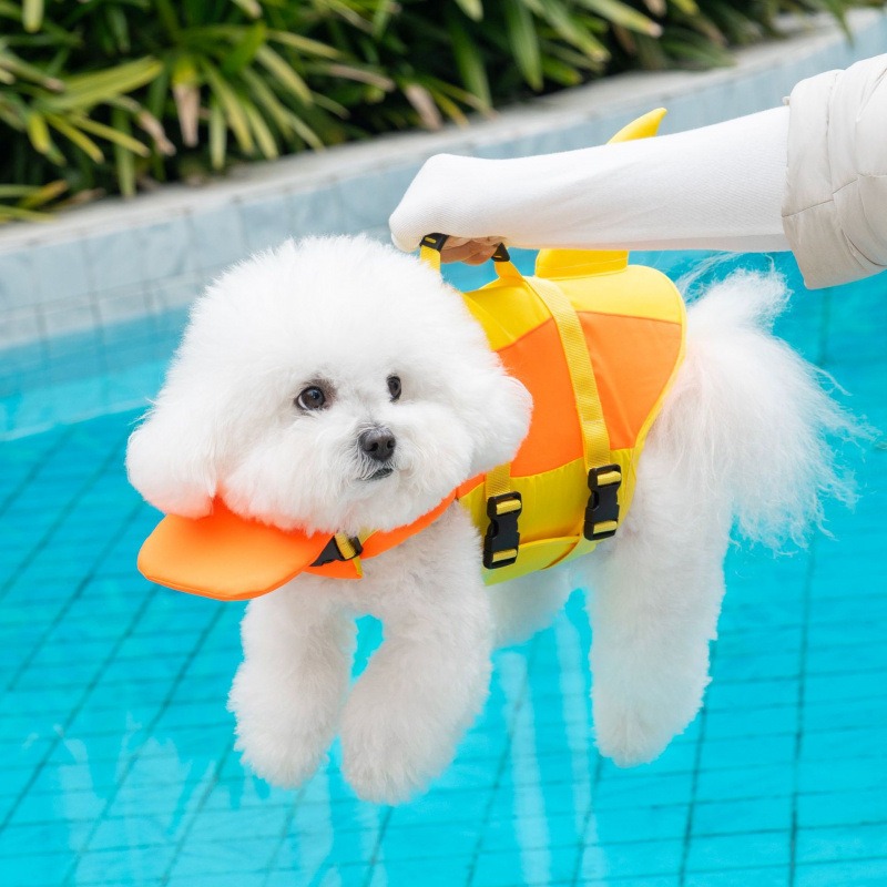 سترة نجاة للكلاب على شكل سمكة  - مراجعة Dog Life Jacket وسعره