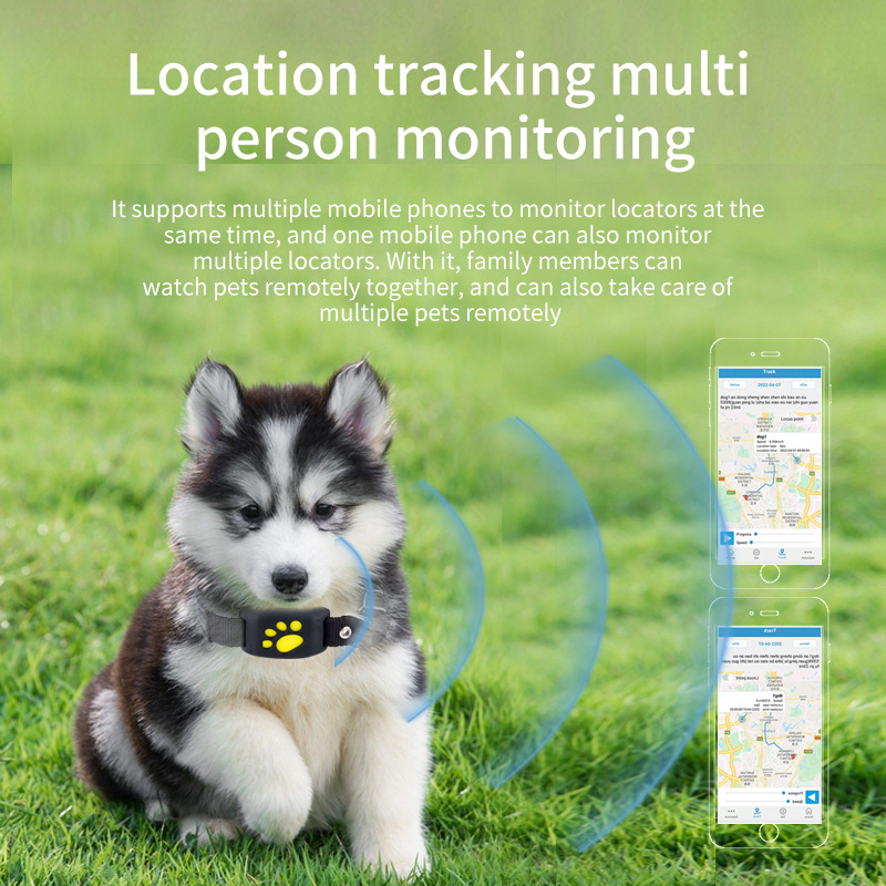 جهاز تتبع الحيوانات الأليفة بن - مراجعة Pet Supplies Locations وسعره