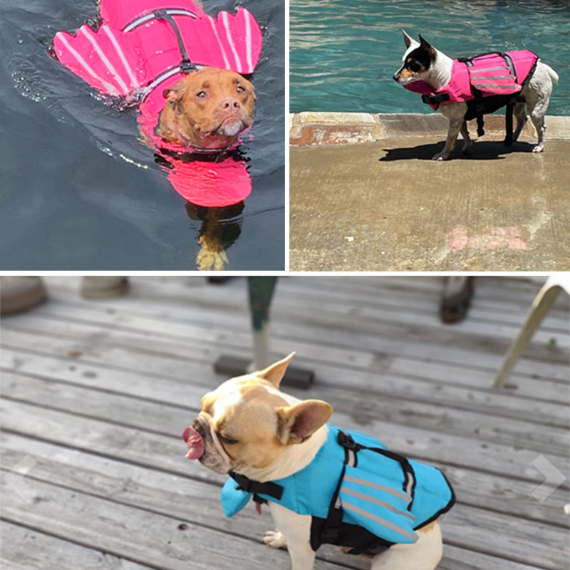 الكلب سترة نجاة عاكسة قابل للت - مراجعة Dog Life Jacket وسعره