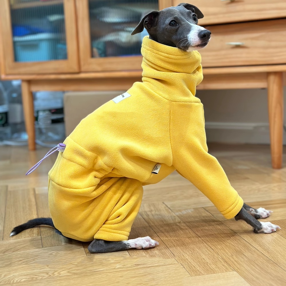 سترة صوف صفراء دافئة لإيطاليا  - مراجعة Dog Life Jacket وسعره