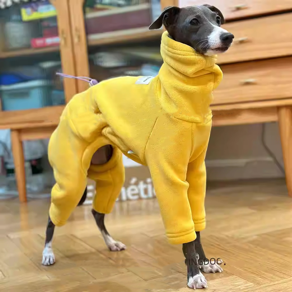 سترة صوف صفراء دافئة لإيطاليا  - مراجعة Dog Life Jacket وسعره