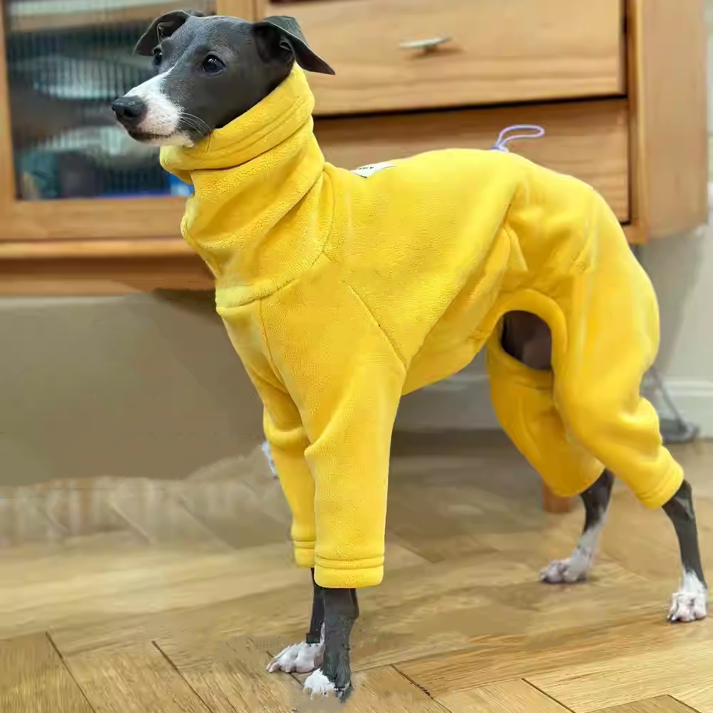 سترة صوف صفراء دافئة لإيطاليا  - مراجعة Dog Life Jacket وسعره