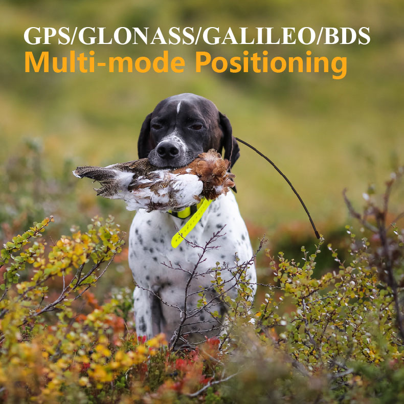 جهاز تتبع GPS عالمي للحيوانات  - مراجعة Pet Supplies Locations وسعره