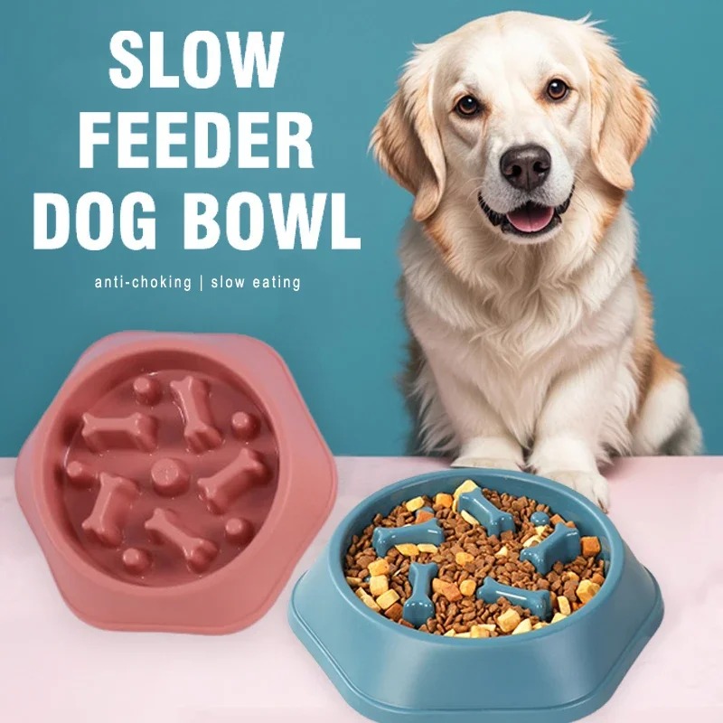 وعاء طعام للكلاب بطيء التناول  - مراجعة Slow Feeder Dog Bowl وسعره